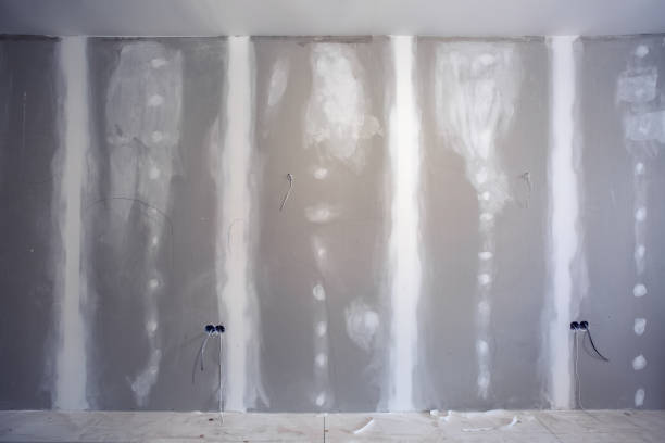 Best Post-Construction Mold Inspection  in Bloomfield Hills, MI