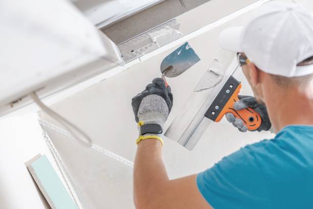 Best Attic Mold Removal  in Bloomfield Hills, MI